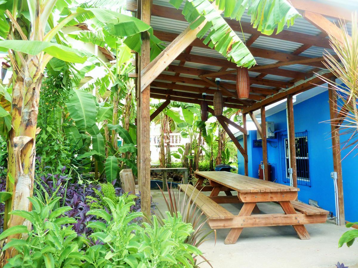 Miller'S Guest House Buccoo Exterior foto